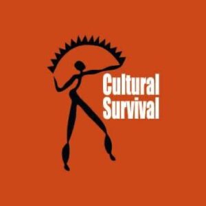 https://www.culturalsurvival.org/news/meet-our-2025-cohort-indigenous-youth-fellows